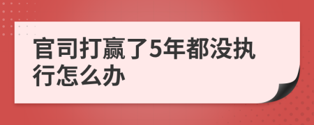 官司打赢了5年都没执行怎么办