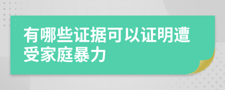 有哪些证据可以证明遭受家庭暴力