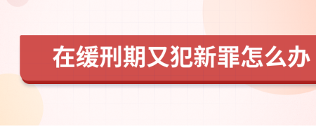 在缓刑期又犯新罪怎么办