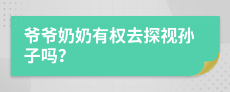 爷爷奶奶有权去探视孙子吗？