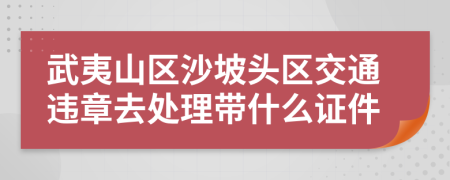 武夷山区沙坡头区交通违章去处理带什么证件