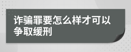 诈骗罪要怎么样才可以争取缓刑