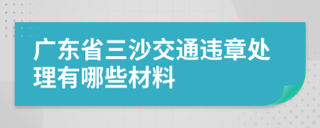 广东省三沙交通违章处理有哪些材料