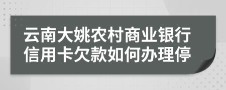 云南大姚农村商业银行信用卡欠款如何办理停