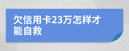 欠信用卡23万怎样才能自救