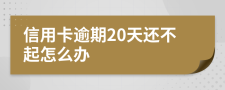 信用卡逾期20天还不起怎么办