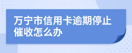 万宁市信用卡逾期停止催收怎么办