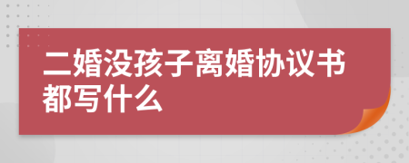 二婚没孩子离婚协议书都写什么