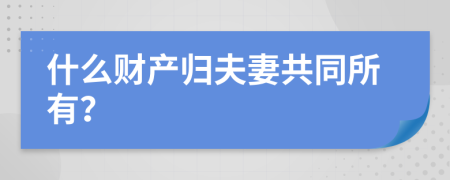 什么财产归夫妻共同所有？