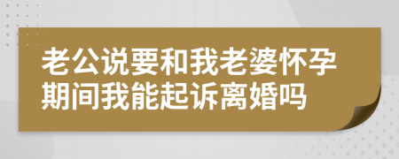 老公说要和我老婆怀孕期间我能起诉离婚吗