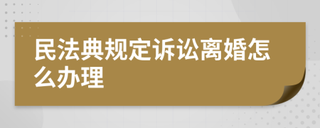 民法典规定诉讼离婚怎么办理