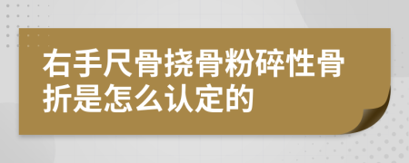右手尺骨挠骨粉碎性骨折是怎么认定的