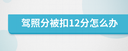 驾照分被扣12分怎么办