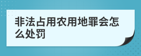 非法占用农用地罪会怎么处罚