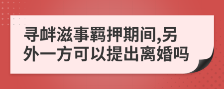 寻衅滋事羁押期间,另外一方可以提出离婚吗