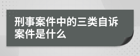 刑事案件中的三类自诉案件是什么