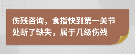 伤残咨询，食指快到第一关节处断了缺失，属于几级伤残