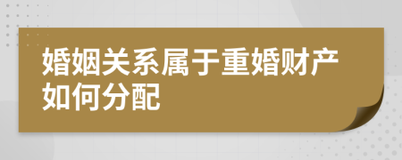 婚姻关系属于重婚财产如何分配