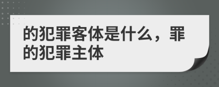 的犯罪客体是什么，罪的犯罪主体