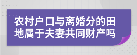 农村户口与离婚分的田地属于夫妻共同财产吗