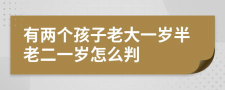 有两个孩子老大一岁半老二一岁怎么判