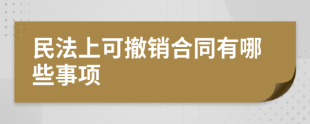 民法上可撤销合同有哪些事项