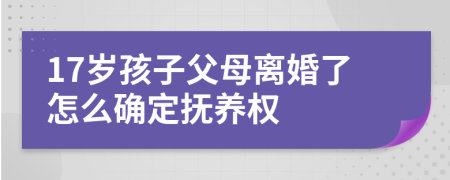  17岁孩子父母离婚了怎么确定抚养权