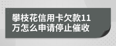 攀枝花信用卡欠款11万怎么申请停止催收