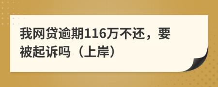 我网贷逾期116万不还，要被起诉吗（上岸）