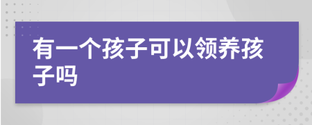 有一个孩子可以领养孩子吗