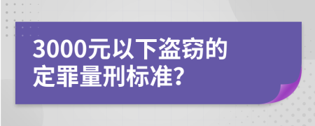 3000元以下盗窃的定罪量刑标准？