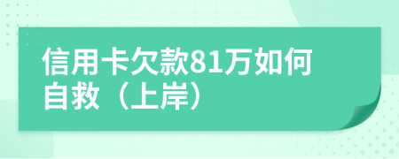 信用卡欠款81万如何自救（上岸）