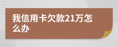 我信用卡欠款21万怎么办