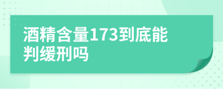 酒精含量173到底能判缓刑吗