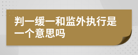 判一缓一和监外执行是一个意思吗