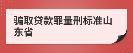 骗取贷款罪量刑标准山东省