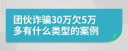 团伙诈骗30万欠5万多有什么类型的案例