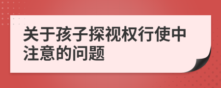 关于孩子探视权行使中注意的问题