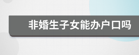 非婚生子女能办户口吗