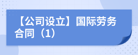 【公司设立】国际劳务合同（1）