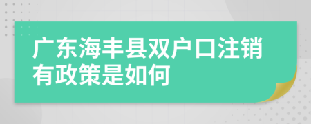 广东海丰县双户口注销有政策是如何