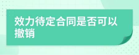 效力待定合同是否可以撤销