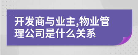 开发商与业主,物业管理公司是什么关系