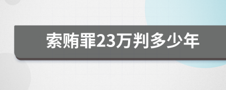 索贿罪23万判多少年