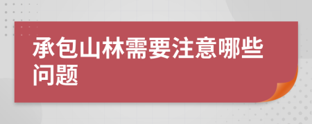 承包山林需要注意哪些问题