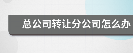 总公司转让分公司怎么办