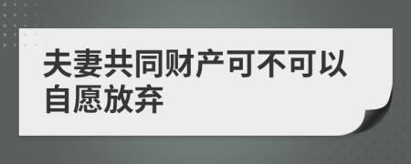 夫妻共同财产可不可以自愿放弃