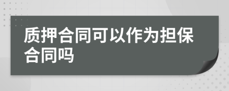 质押合同可以作为担保合同吗