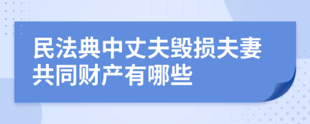 民法典中丈夫毁损夫妻共同财产有哪些