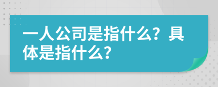 一人公司是指什么？具体是指什么？